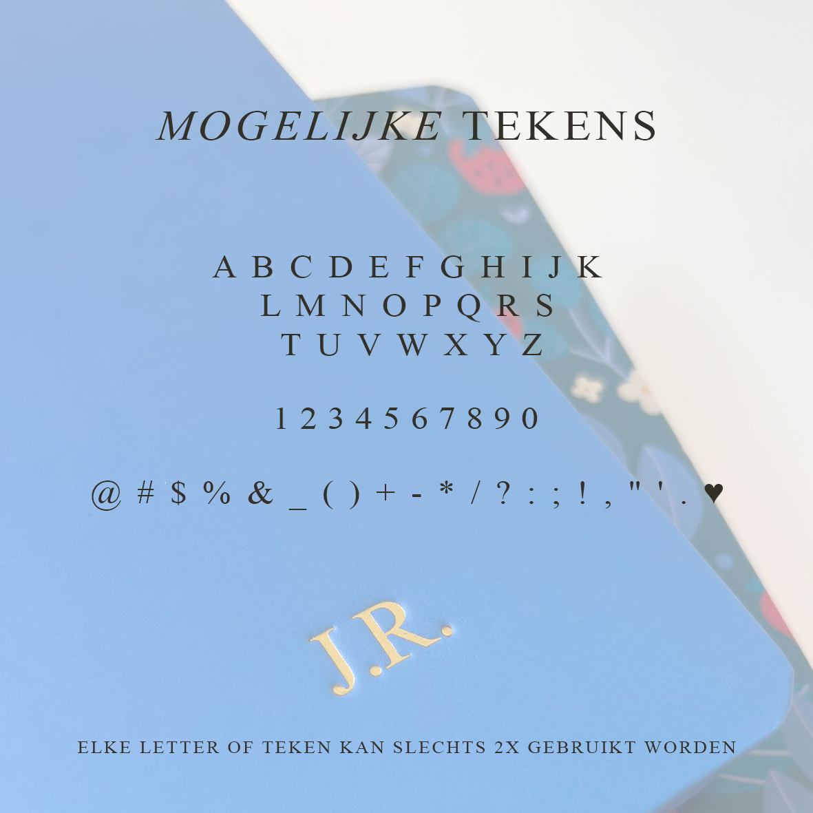 Notitieboek ring ⎮ Strawberry ⎮ Gelinieerd
